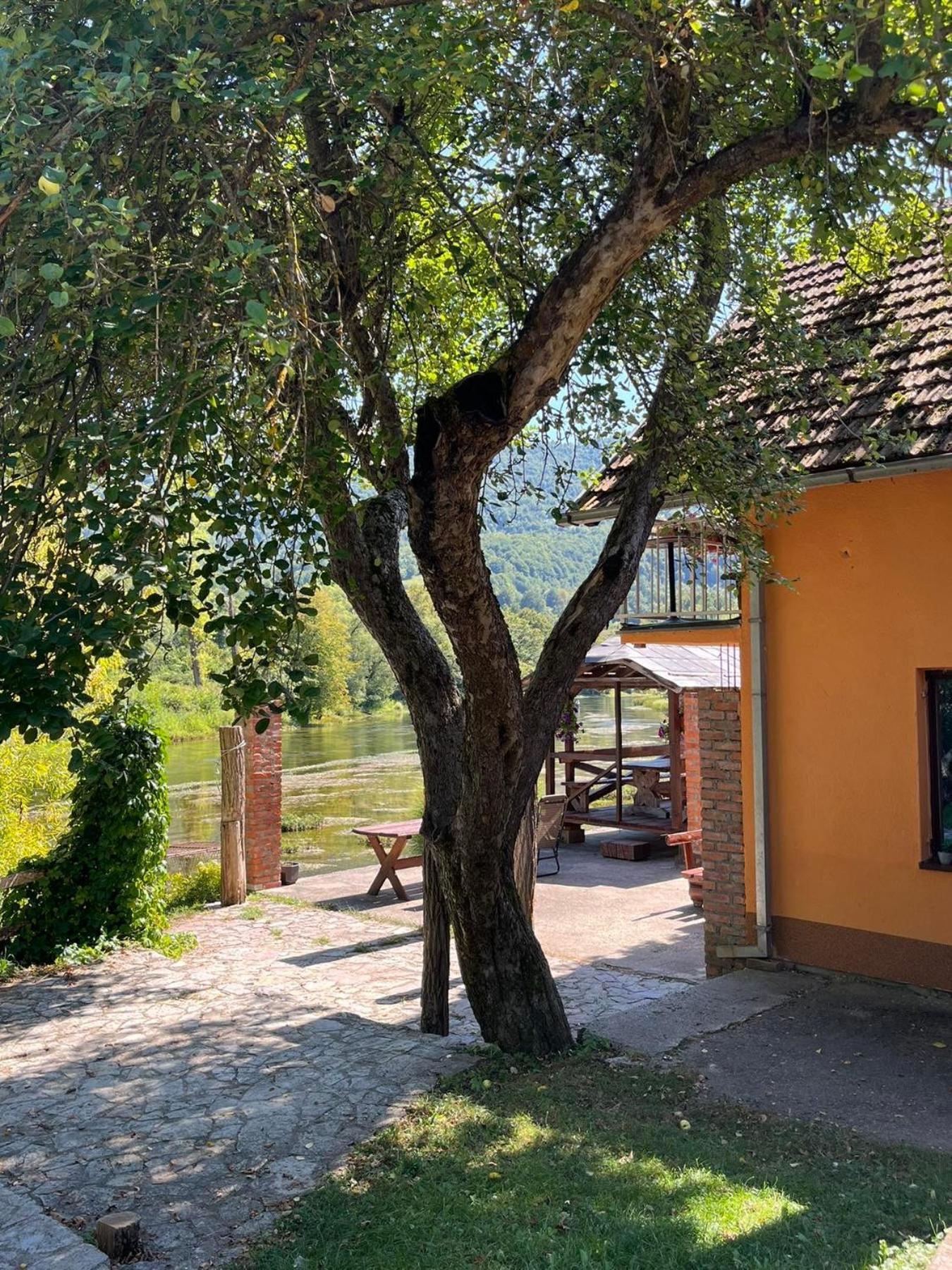 Bed And Breakfast Family Djukic Sipovo Εξωτερικό φωτογραφία